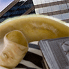 YOM KIPPUR at the GRAND HYATT